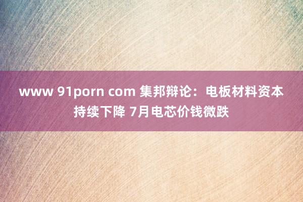 www 91porn com 集邦辩论：电板材料资本持续下降 7月电芯价钱微跌