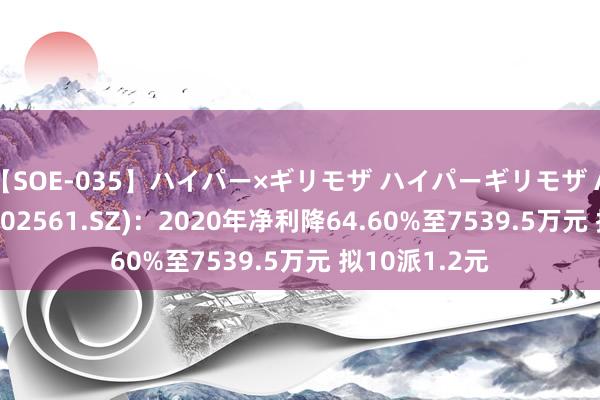 【SOE-035】ハイパー×ギリモザ ハイパーギリモザ Ami 徐家汇(002561.SZ)：2020年净利降64.60%至7539.5万元 拟10派1.2元