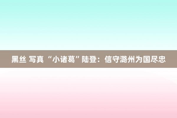 黑丝 写真 “小诸葛”陆登：信守潞州为国尽忠